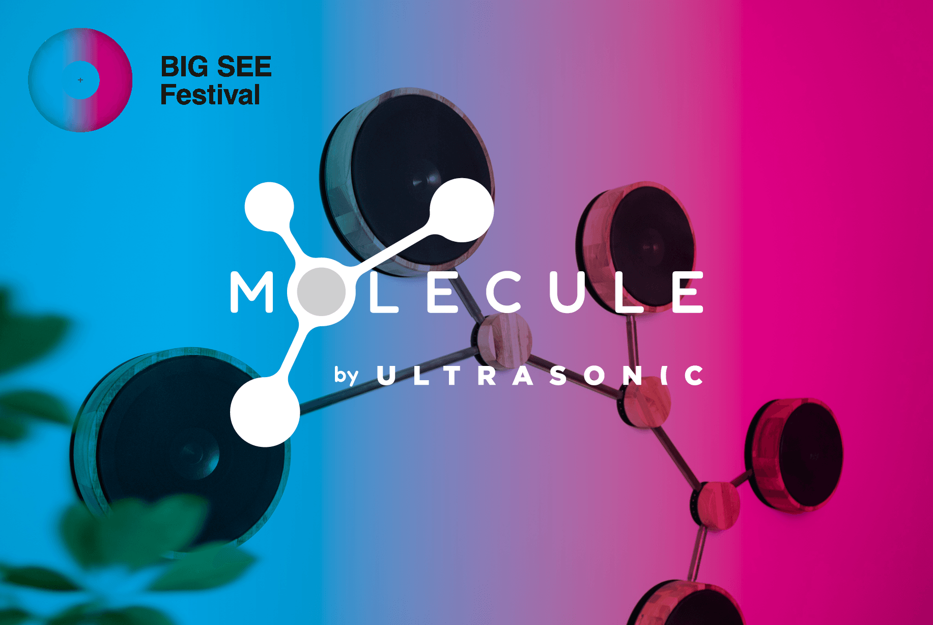 Molecula at BigSee Festival